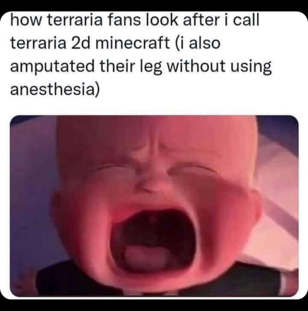 how terraria fans look after i call terraria 2d minecraft i also amputated their leg without using anesthesia