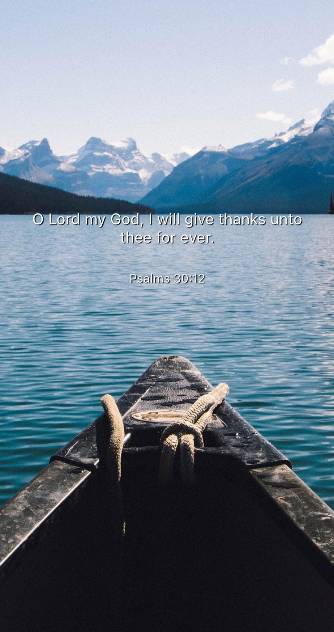 O Lord my God, I will give thanks unto thee for ever.
Psalms 30:12