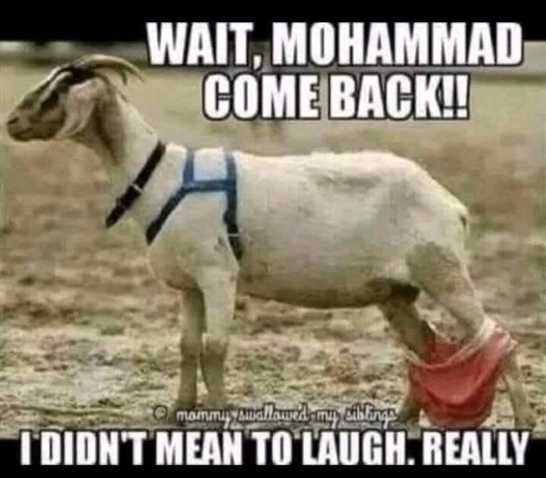 WAIT, MOHAMMAD COME BACK!! I DIDN'T MEAN TO LAUGH. REALLY