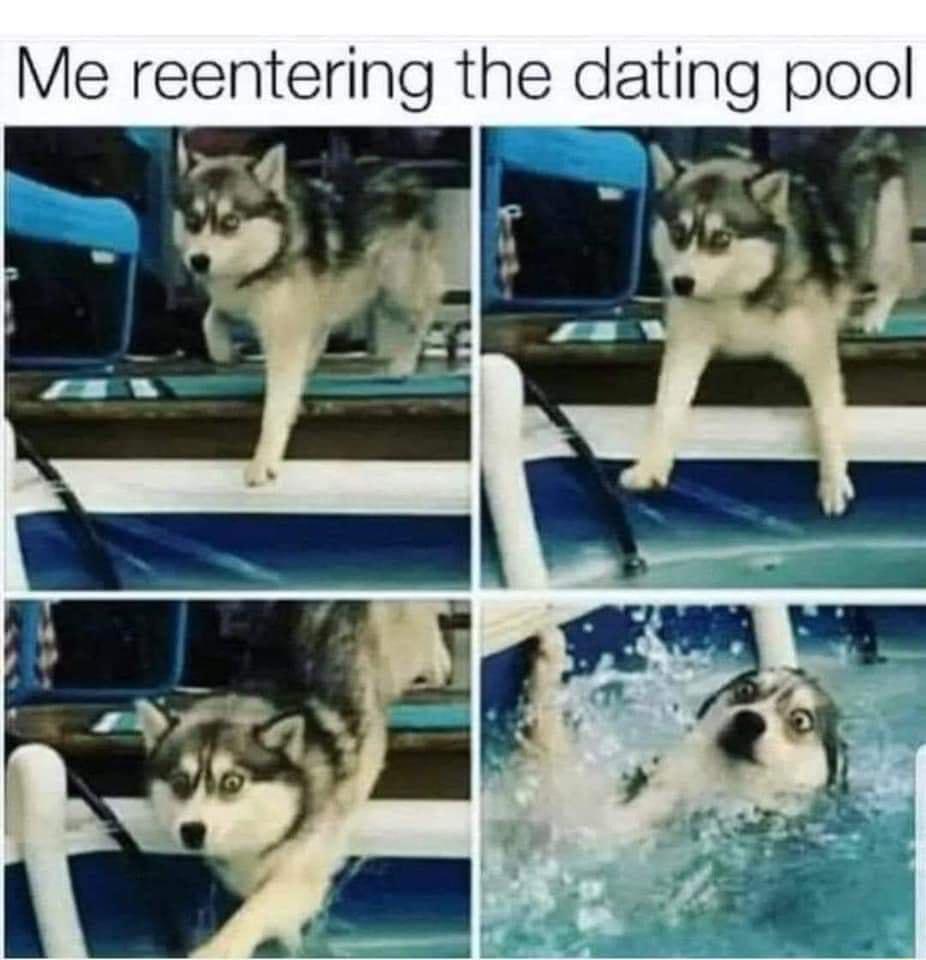 Me reentering the dating pool 1 o