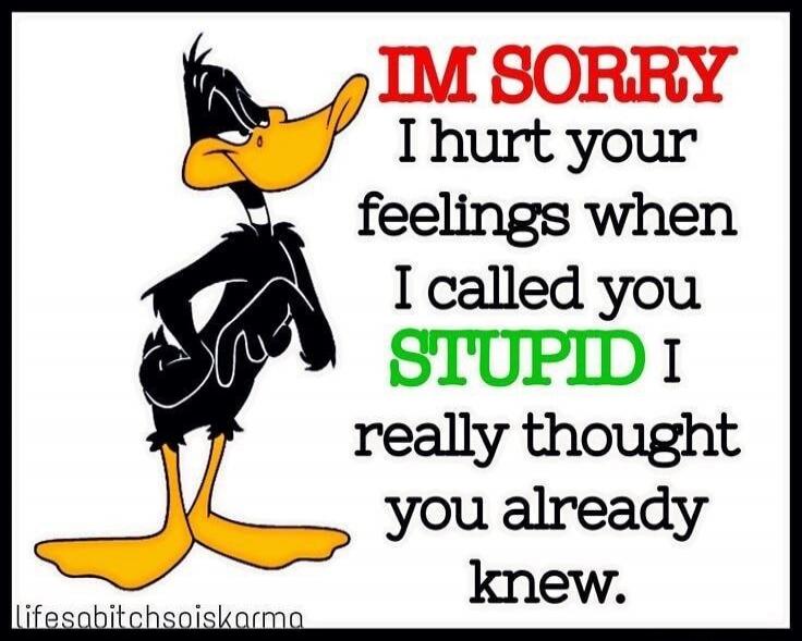 IM SORRY I hurt your feelings when I called you STUPID I really thought you already knew. lifesabitchsoiskarma