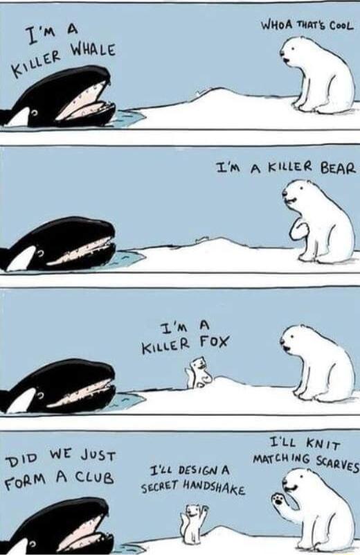 WHOA THATY CooL i L N _ ppem S Tm A KILLEER BeAR o WE JusT oRM A CLug 1L DESIGN A T H SECRE tbkg n A _ B S