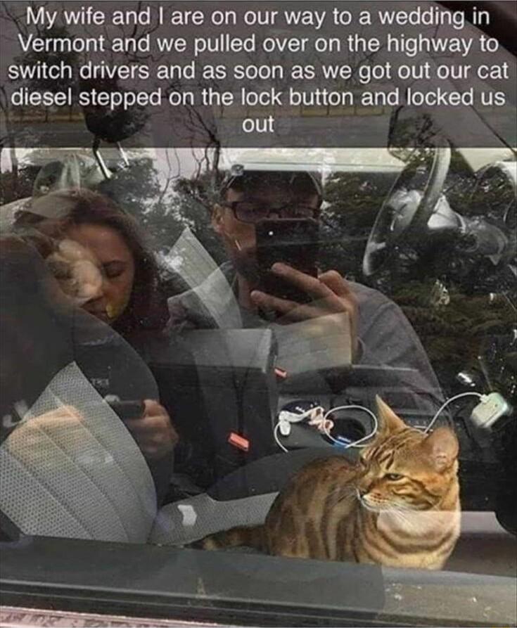 My wife and are on our way 0 a wi Vermont and we pulled over on the hglway to switch drivers and as soon as we got out our cat diesel stepped on the lock button and I