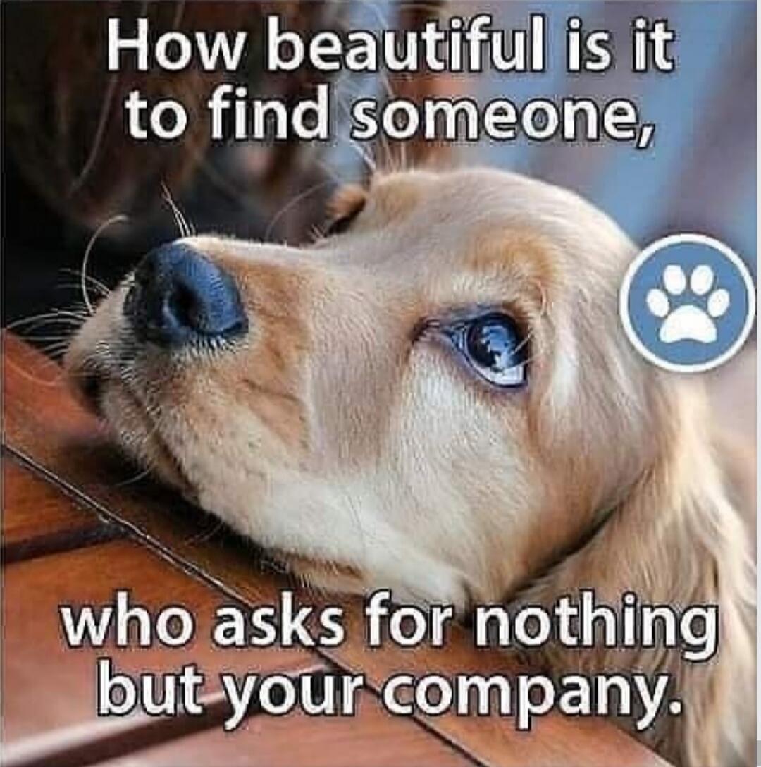 How beautiful is it to find someone, who asks for nothing but your company.