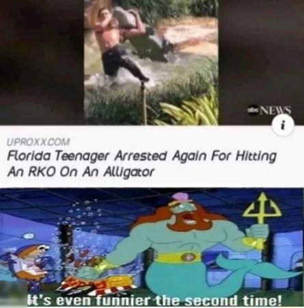 Florida Teenager Arrested Again For Hitting An RKO On An Alligator its even funnier the second time