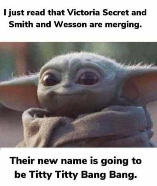 just read that Victoria Secret and Smith and Wesson are merging Their new name is going to be Titty Titty Bang Bang
