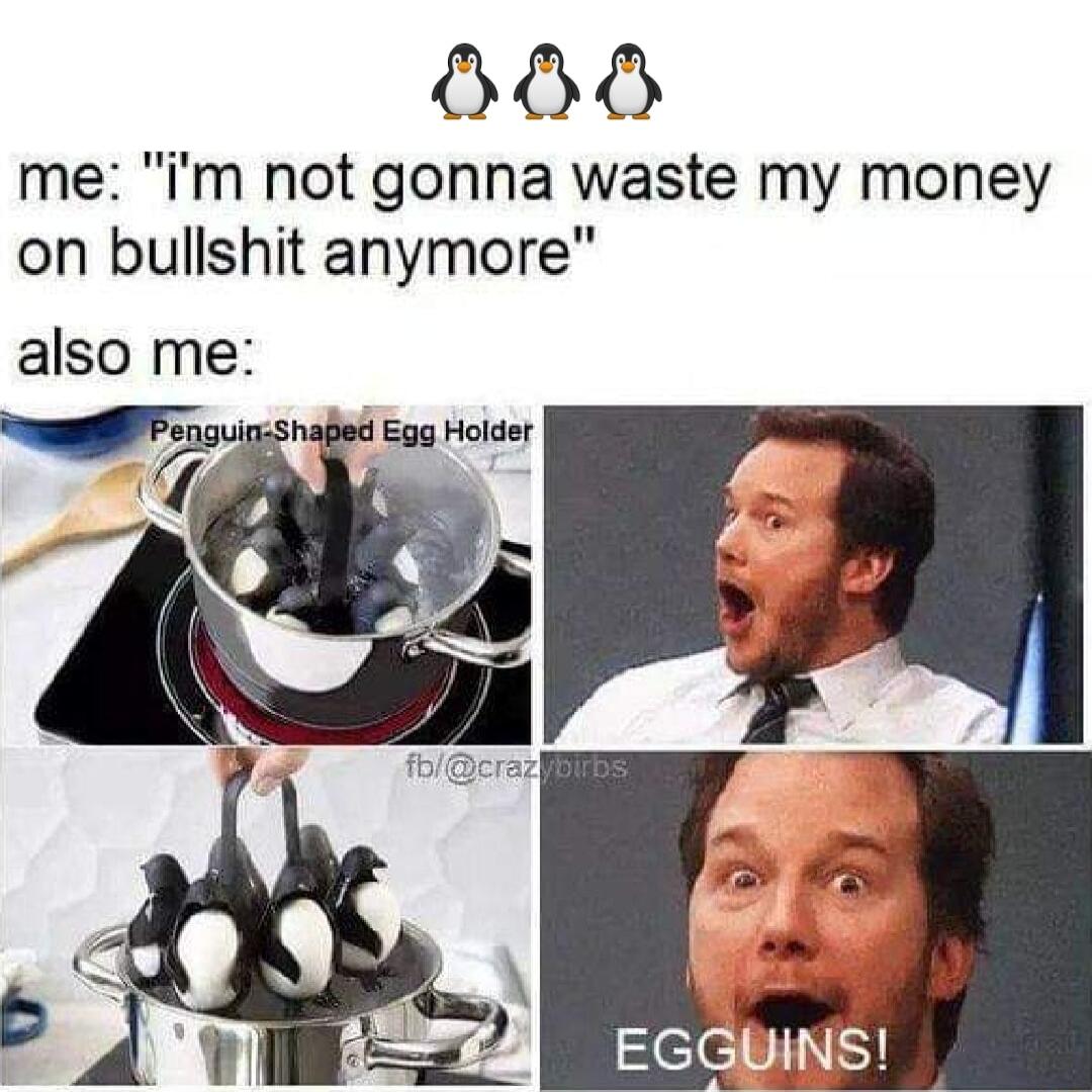 HOHH me m not gonna waste my money on bullshit anymore also me Egg Holder