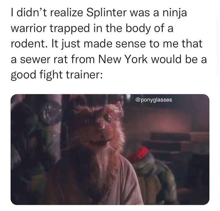 didnt realize Splinter was a nin warrior trapped in the body of a rodent It just made sense to me that a sewer rat from New York would be a good fight trainer ponyglasses