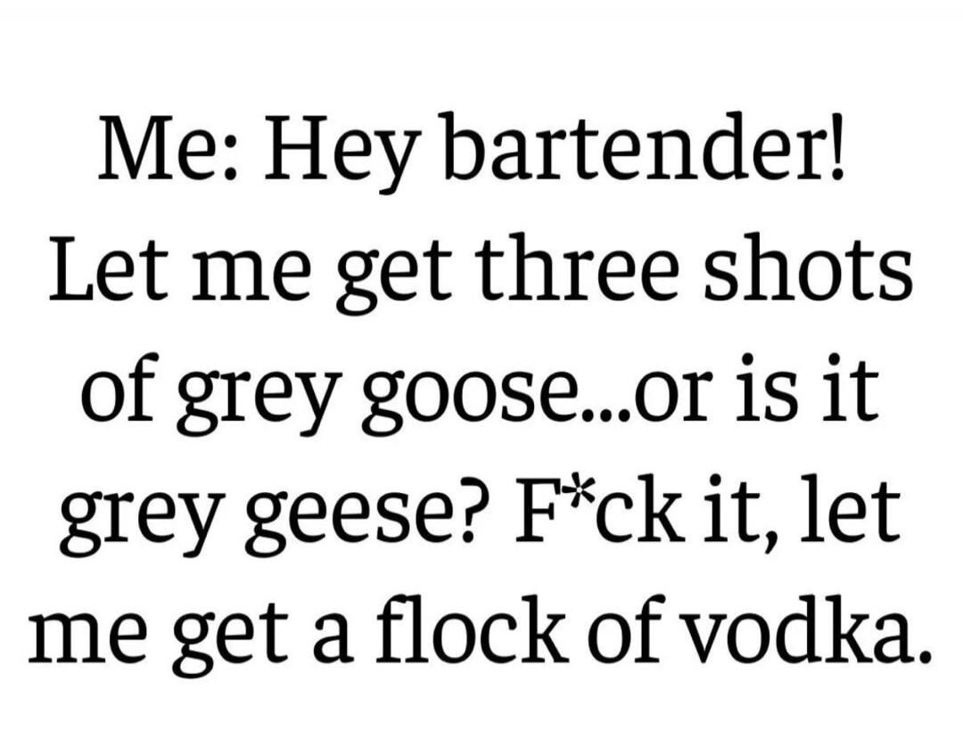 Me: Hey bartender! Let me get three shots of grey goose...or is it grey geese? F*ck it, let me get a flock of vodka.
