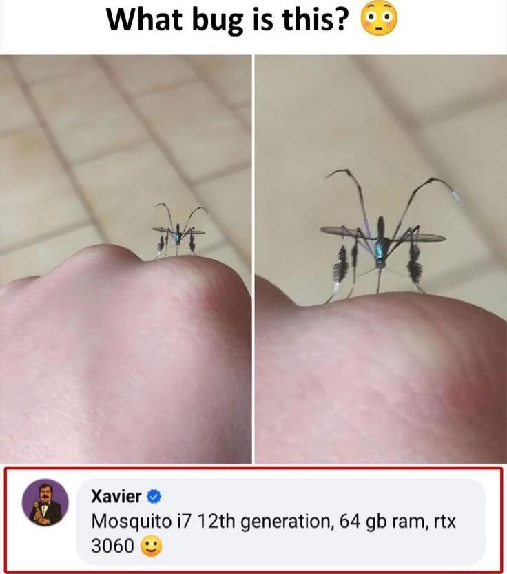 What bug is this? 😳

Xavier: Mosquito i7 12th generation, 64 gb ram, rtx 3060 😃