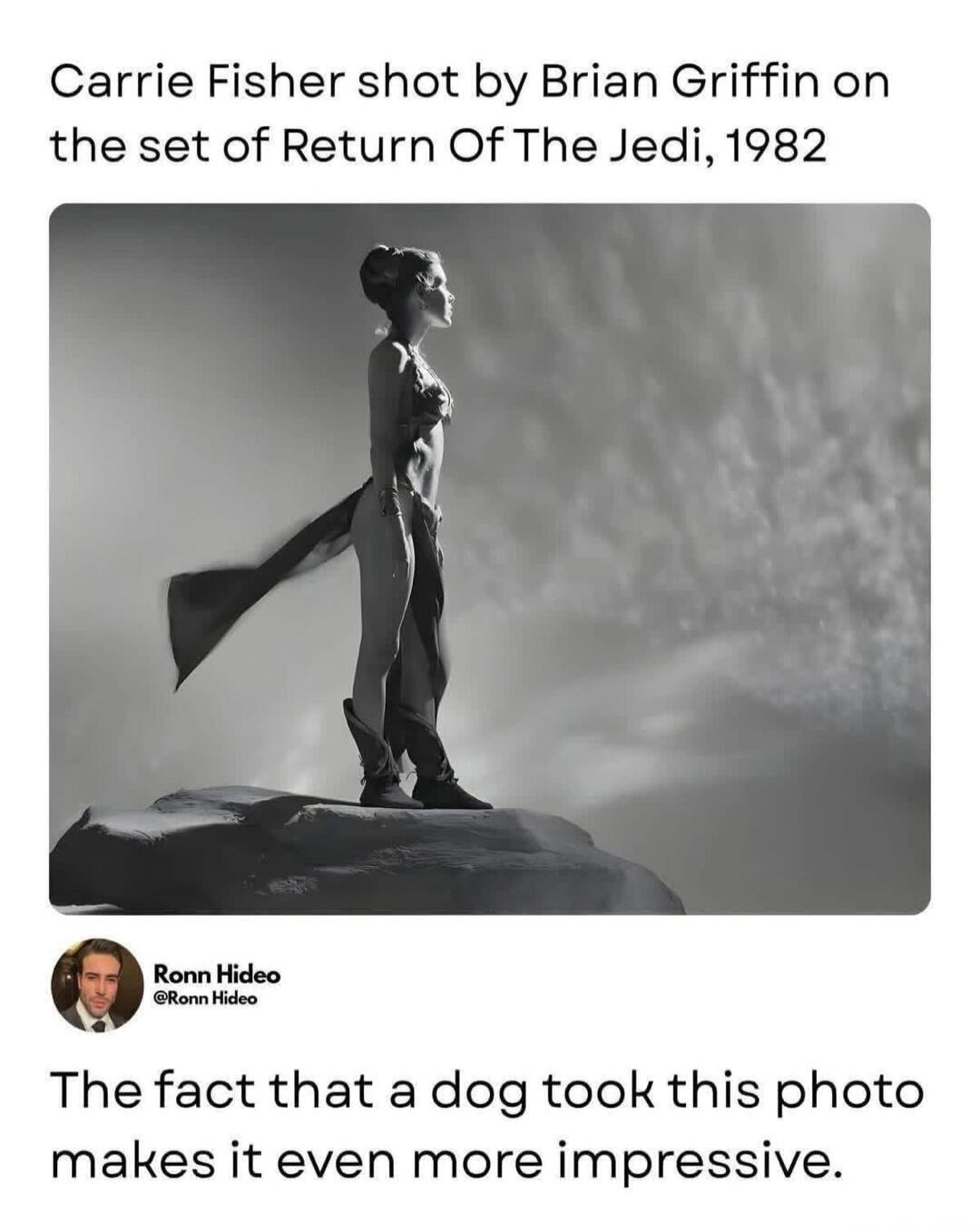 Carrie Fisher shot by Brian Griffin on the set of Return Of The Jedi, 1982. Ronn Hideo @Ronn Hideo. The fact that a dog took this photo makes it even more impressive.