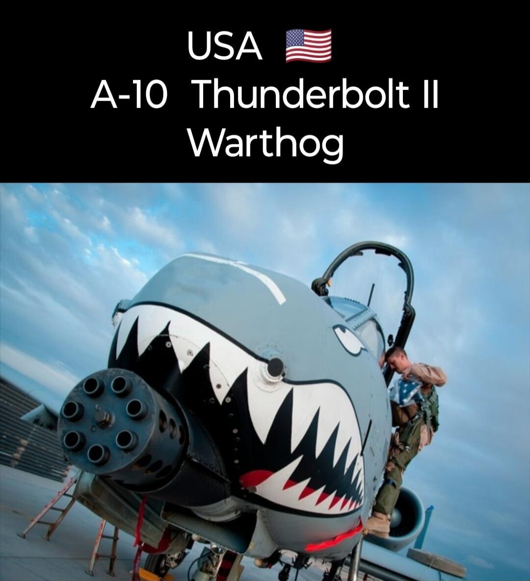 USA A-10 Thunderbolt II Warthog