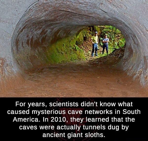 For years scientists didnt know what UL RS CHTTTEREVI T R RST T America In 2010 they learned that the caves were actually tunnels dug by EUMELIGEG RS IGEN