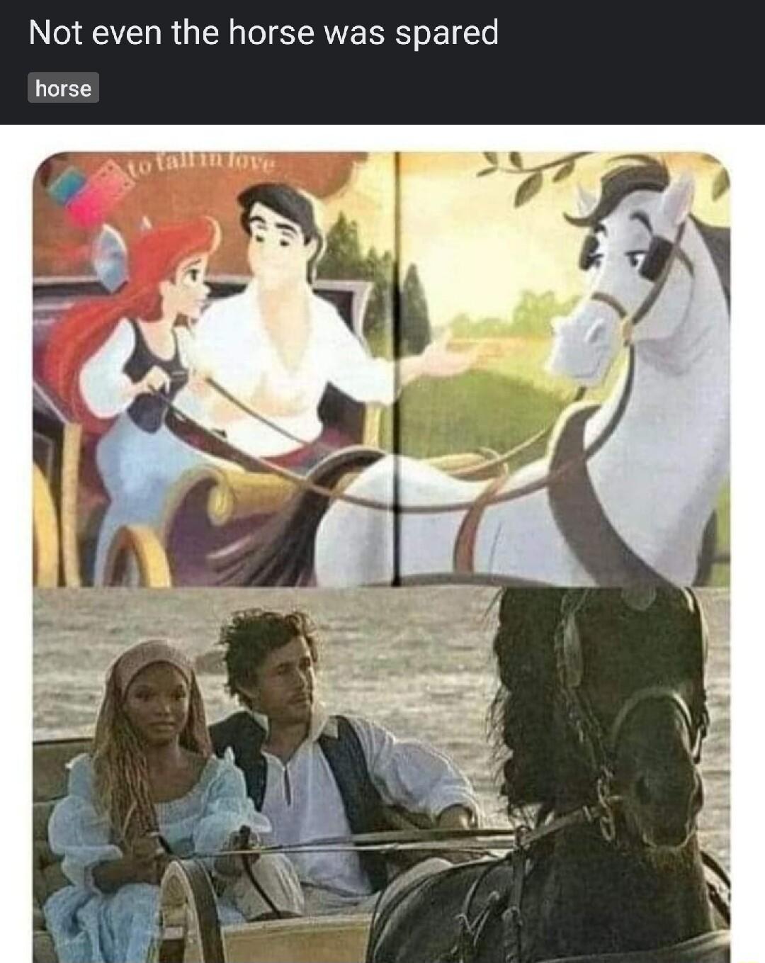 Not even the horse was spared