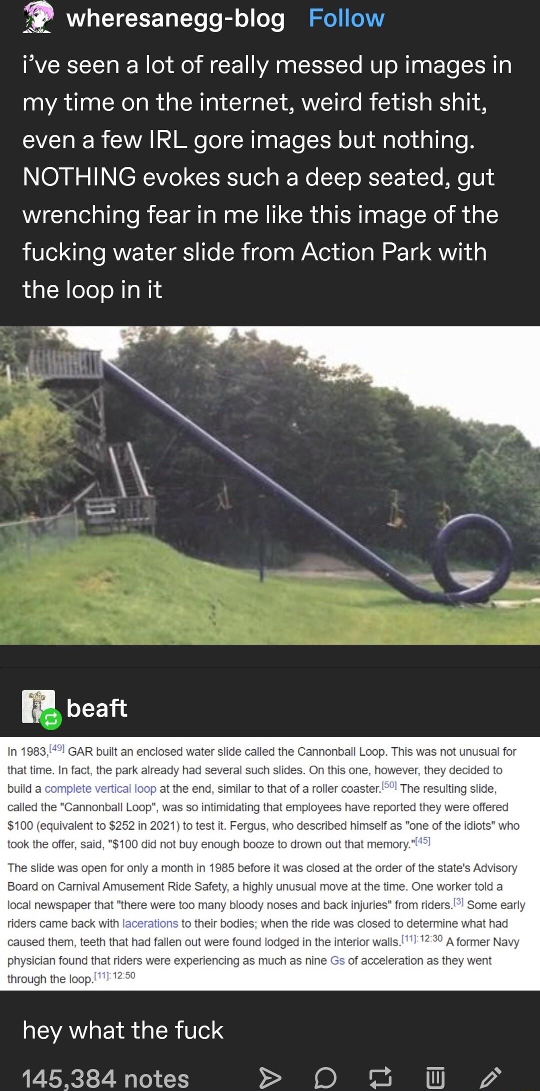 wheresanegg blog Follow ive seen a lot of really messed up images in my time on the internet weird fetish shit even a few IRL gore images but nothing NOTHING evokes such a deep seated gut wrenching fear in me like this image of the fucking water slide from Action Park with the loop in it v LEATGE R ERIe 145384 notes D e I 1