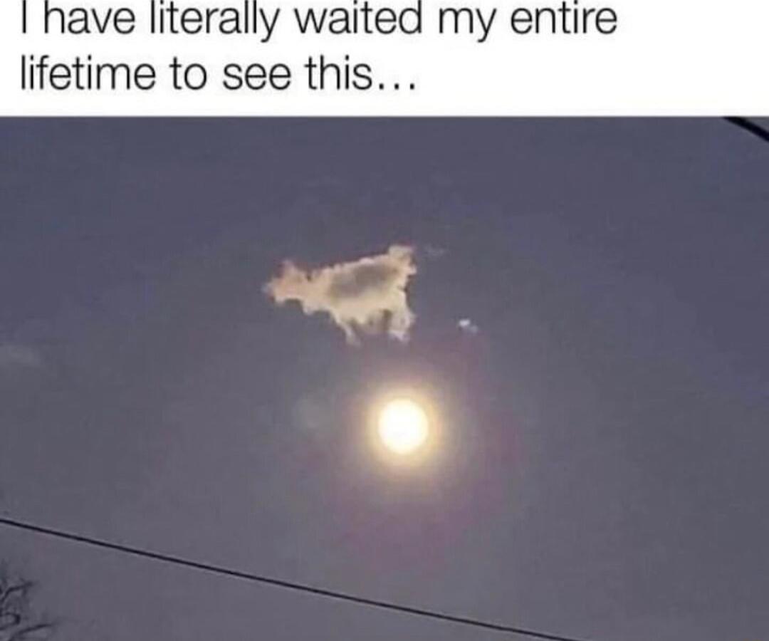 ave literally waited my entire lifetime to see this