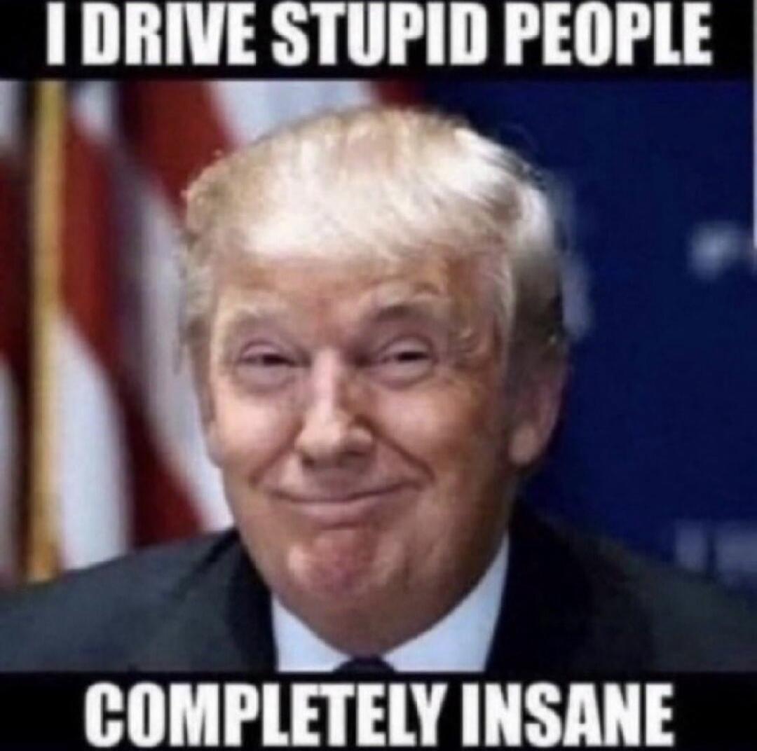 I DRIVE STUPID PEOPLE COMPLETELY INSANE