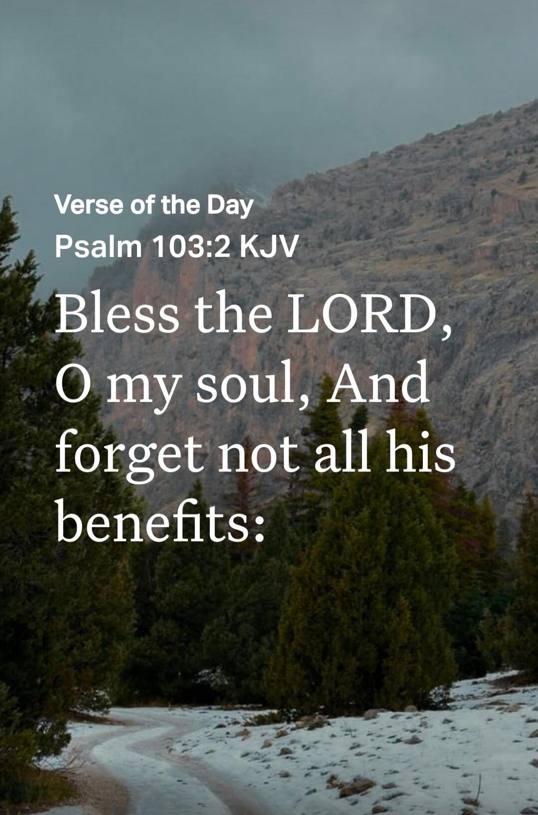 Verse of the Day
Psalm 103:2 KJV
Bless the LORD, O my soul, And forget not all his benefits: