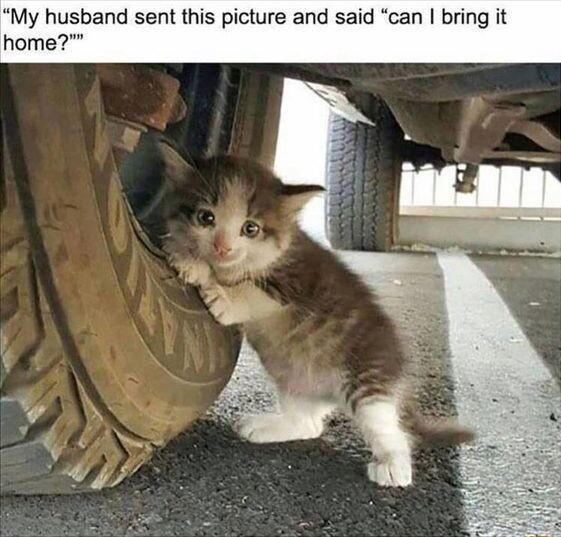 My husband sent this picture and said can bring it ome