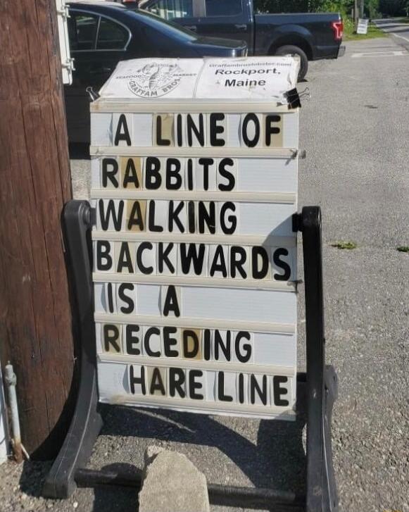 B RABBITS BYWALKING BACKWARDS IS A e RECEDING HARE LINE