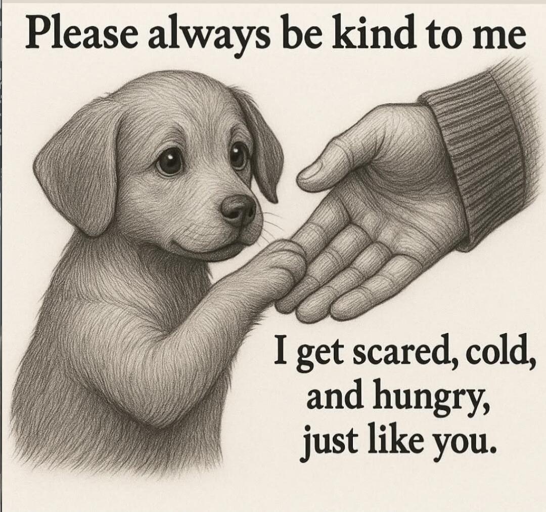 Please always be kind to me
I get scared, cold, and hungry, just like you.