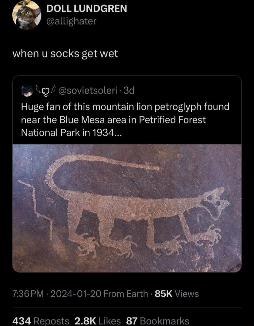 DOLL LUNDGREN 9 allighater when u socks get wet Q7 sovietsoleri 3d Huge fan of this mountain lion petroglyph found near the Blue Mesa area in Petrified Forest National Park in 1934 736PM 2024 01 20 From Earth 85K Views 434 Reposts 28K Likes 87 Bookmarks