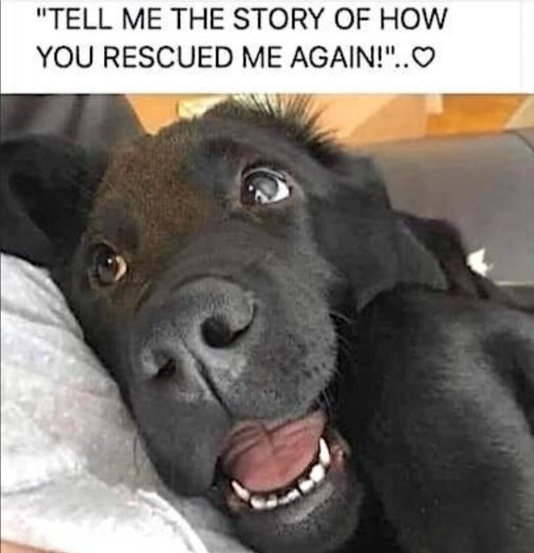 TELL ME THE STORY OF HOW YOU RESCUED ME AGAIN!