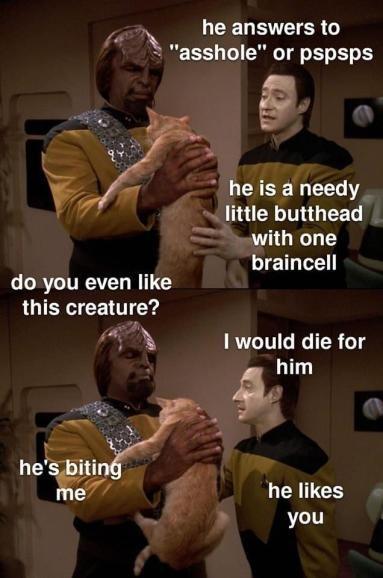 LEELRVEERG asshole or pspsps heisaneedy little butthead wwith one braincell do you even like this creature AN 1 would die for 7y