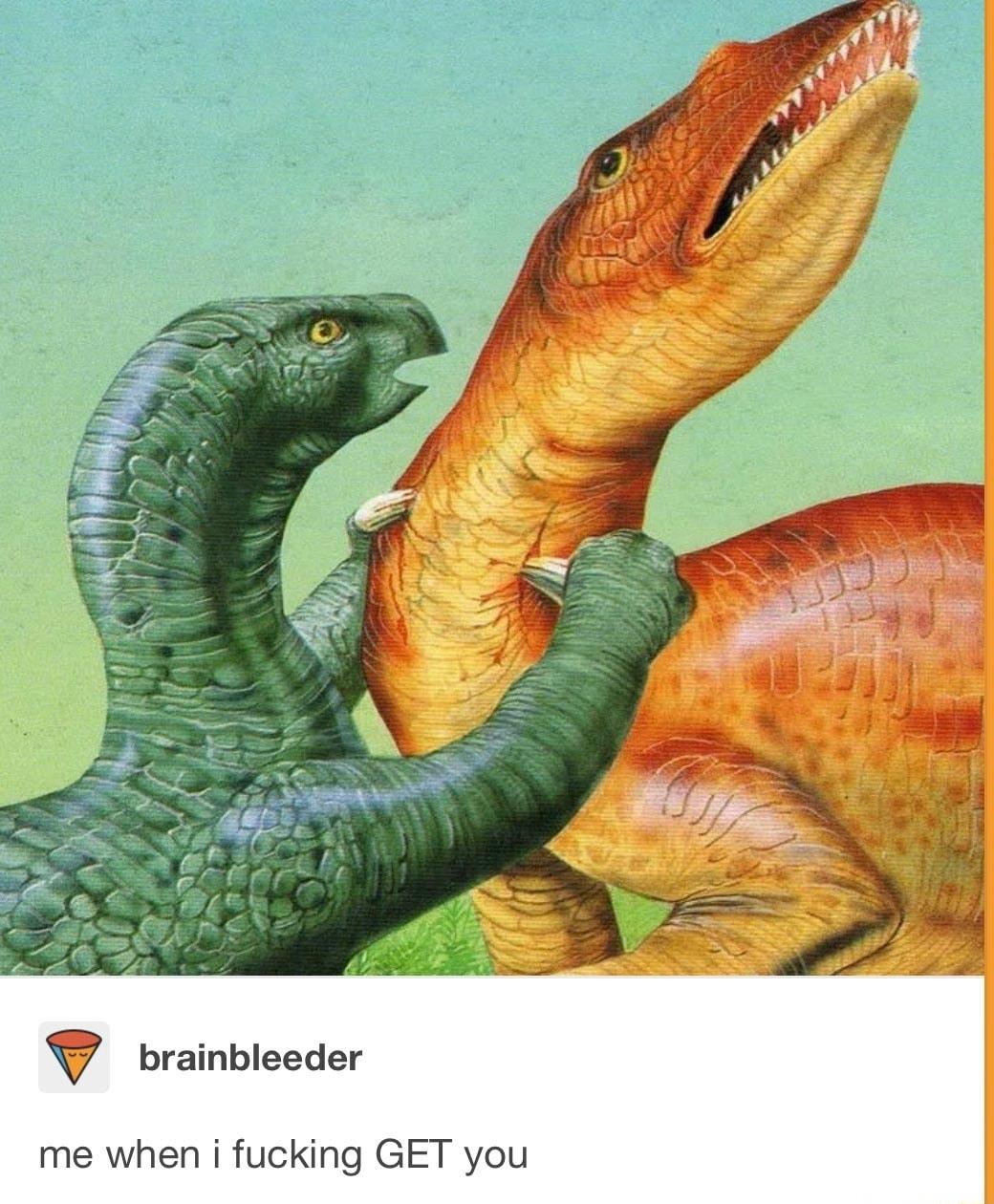 brainbleeder me when i fucking GET you