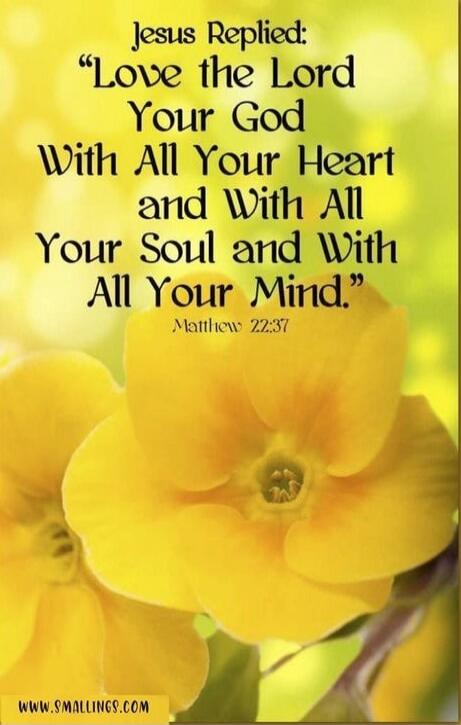 Jesus Replied: “Love the Lord Your God With All Your Heart and With All Your Soul and With All Your Mind.” Matthew 22:37