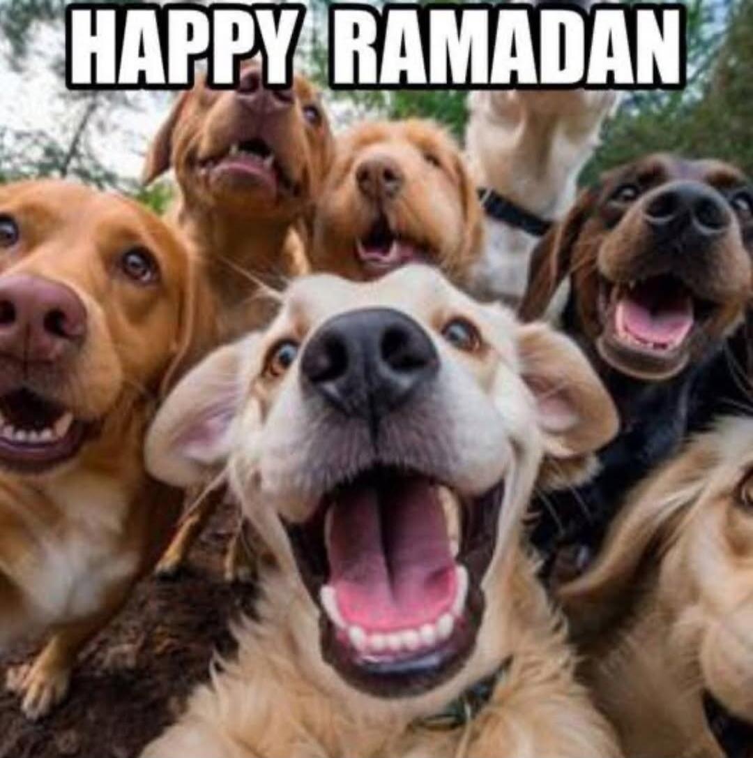 HAPPY RAMADAN