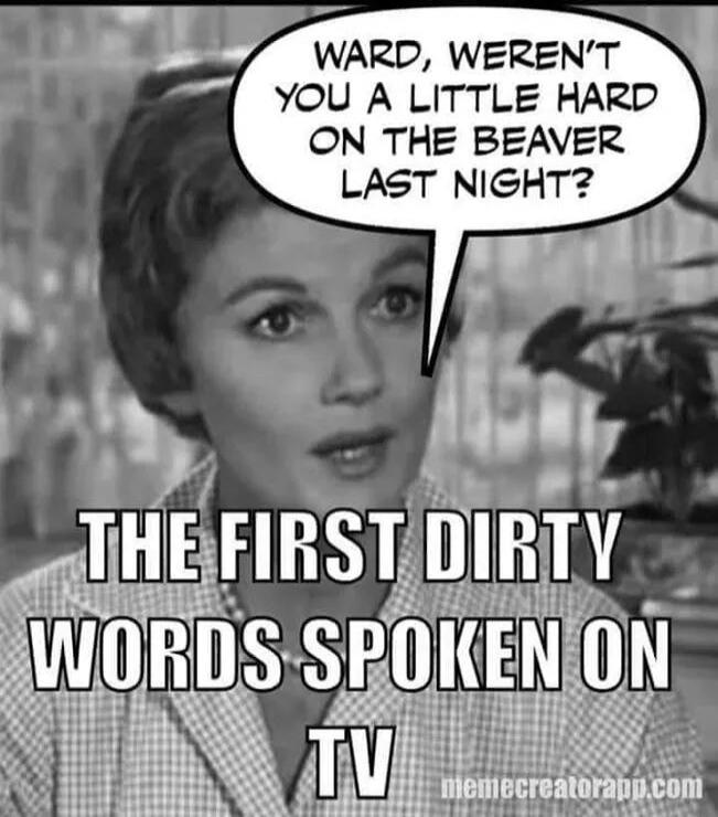 WARD, WEREN'T YOU A LITTLE HARD ON THE BEAVER LAST NIGHT? THE FIRST DIRTY WORDS SPOKEN ON TV