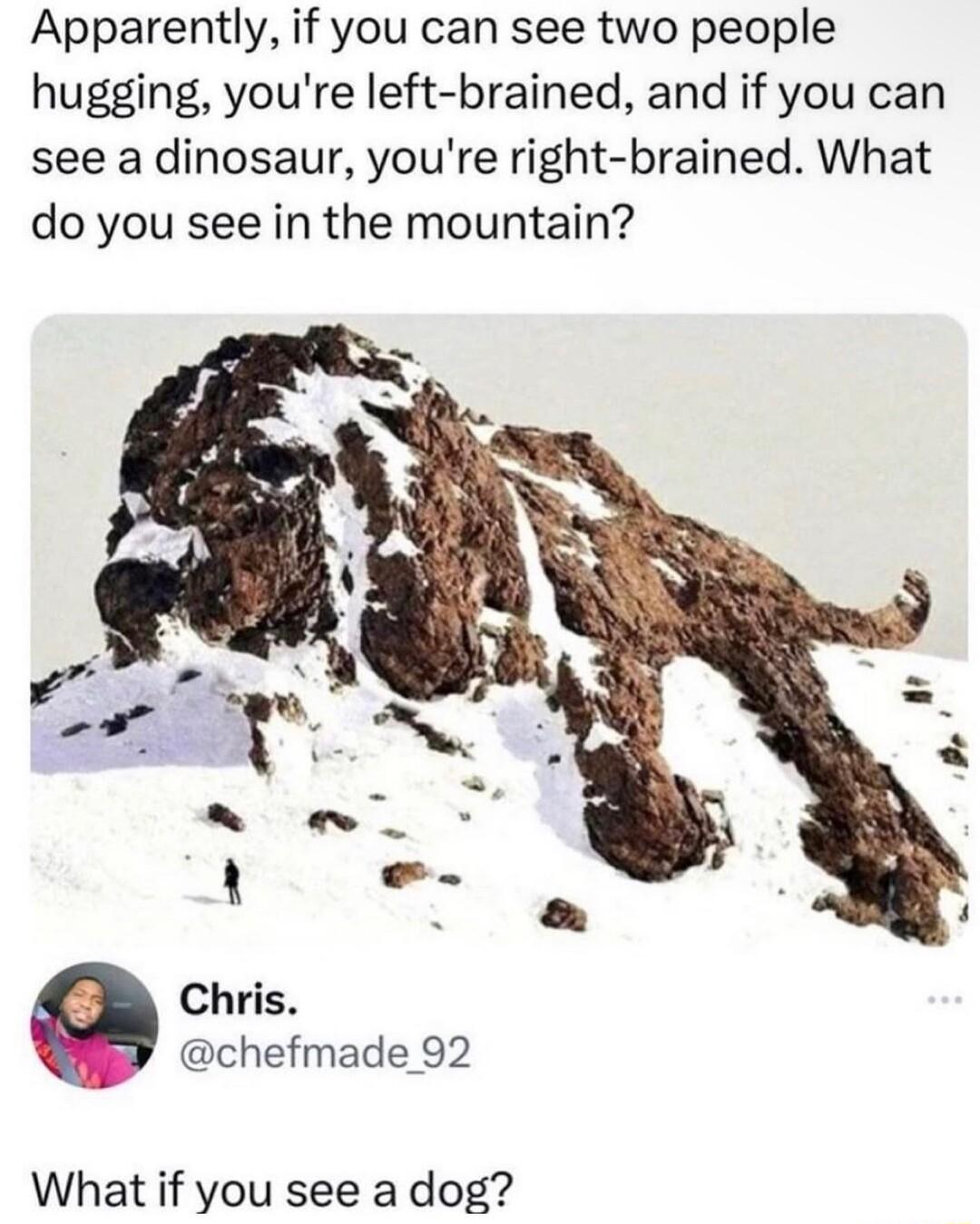 Apparently if you can see two people hugging youre left brained and if you can see a dinosaur youre right brained What do you see in the mountain Chris chefmade 92 What if you see a dog