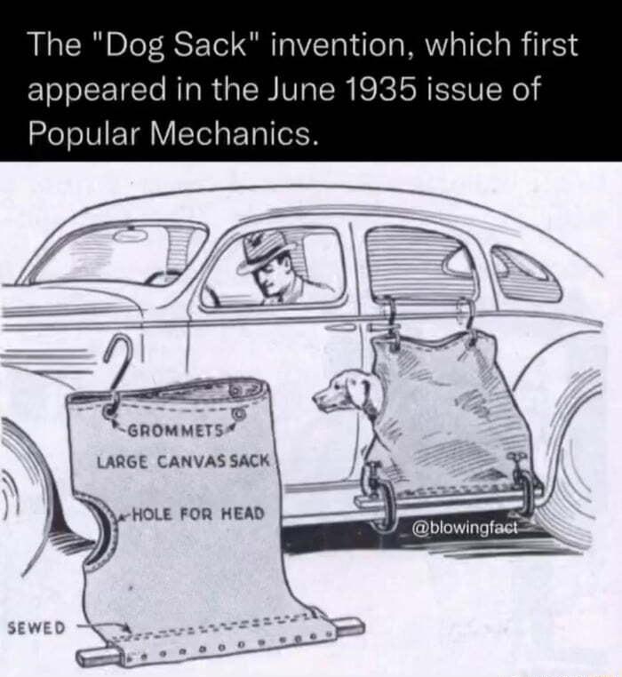 The Dog Sack invention which first appeared in the June 1935 issue of 2leTo V ETalYTelgE Tal el M GROMMETS LARGE CANVAS SACK J blowingfact e e X HOLE FOR HEAD 2 _ 4 g WED S