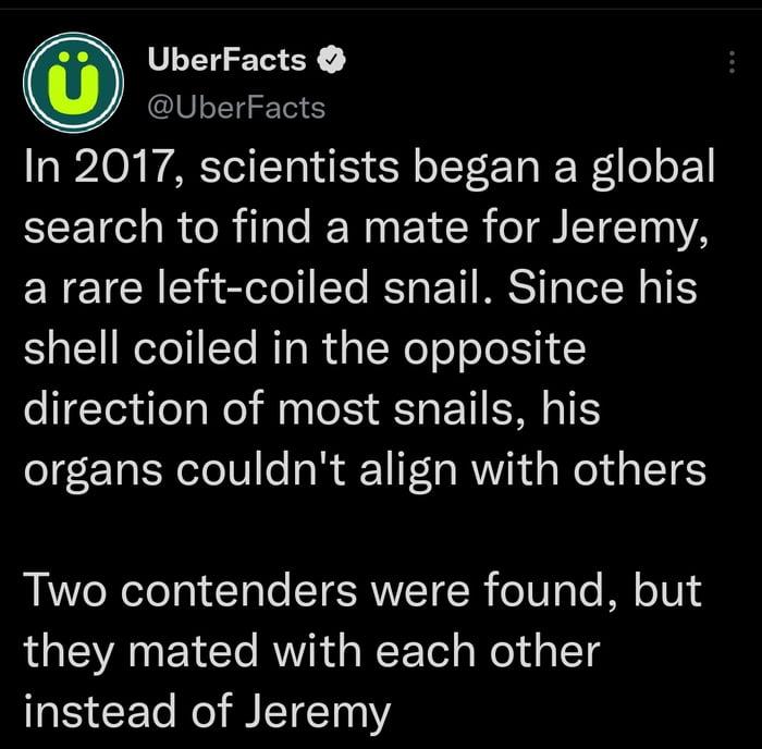 UberFacts ClVLEIGETE In 2017 scientists began a global search to find a mate for Jeremy a rare left coiled snail Since his shell coiled in the opposite direction of most snails his organs couldnt align with others Two contenders were found but they mated with each other instead of Jeremy