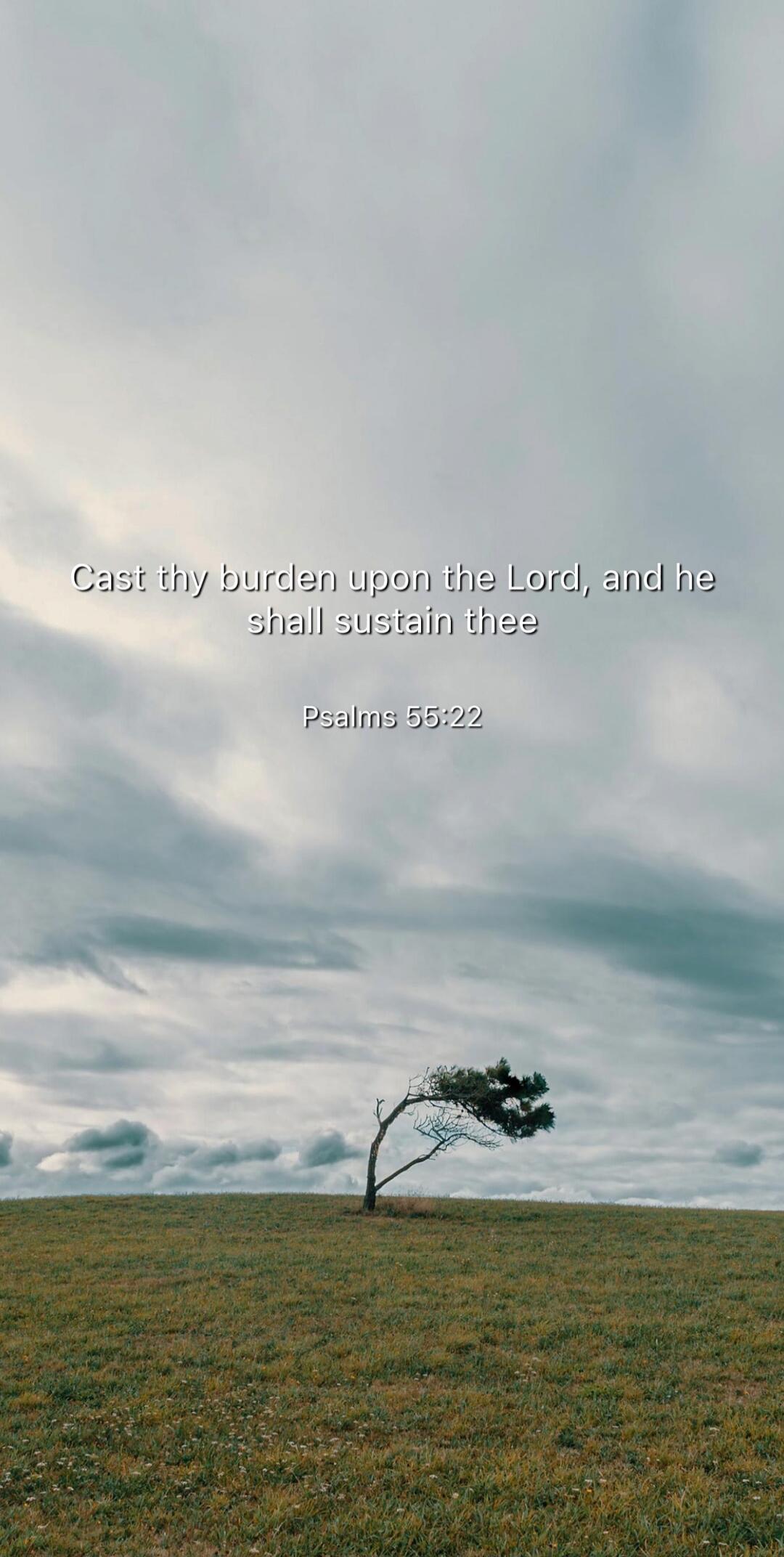 Cast thy burden upon the Lord, and he shall sustain thee
Psalms 55:22