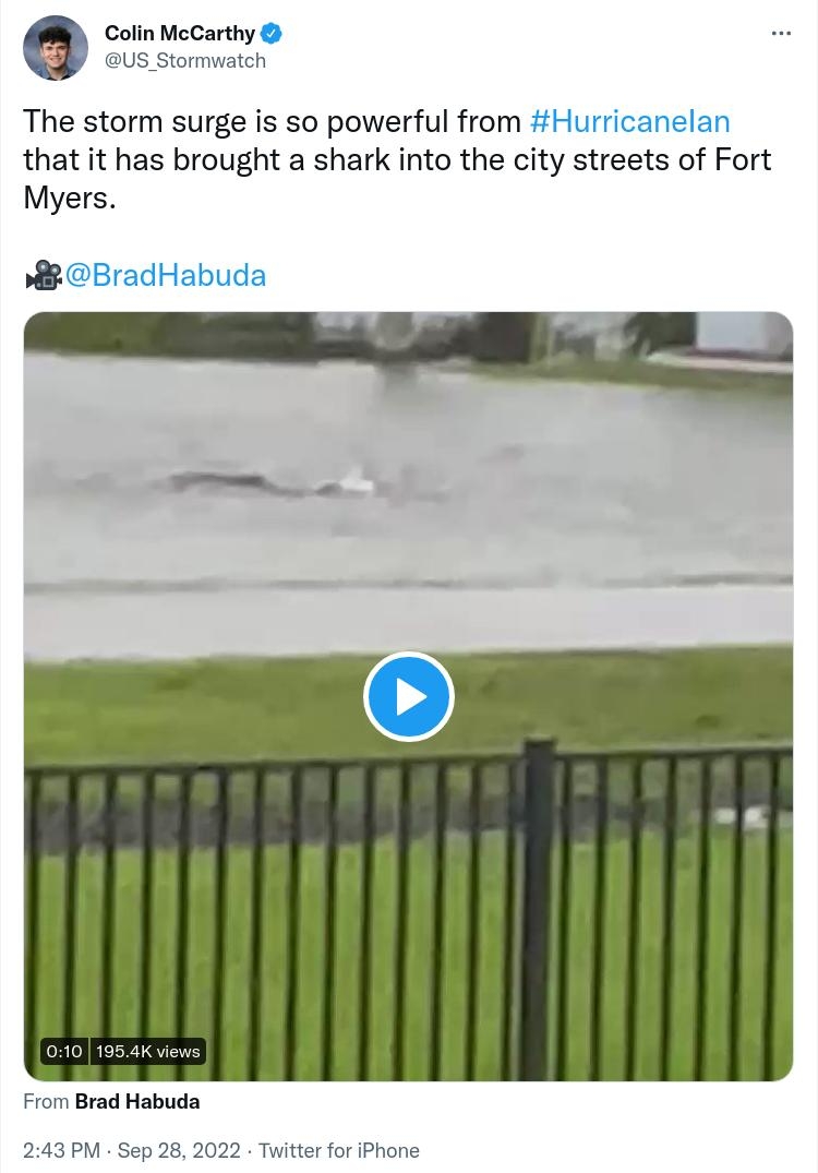 Colin McCarthy The storm surge is so powerful from that it has brought a shark into the city streets of Fort Myers L m om Brad Habuda 3PM Sep 282022 Twitter for Ph 340 Retwests 124 Quote Twests 1022 Lk