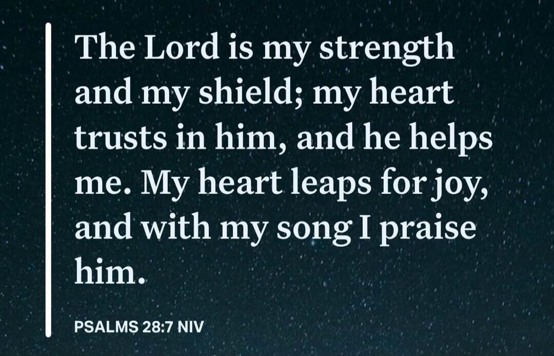 The Lord is my strength and my shield; my heart trusts in him, and he helps me. My heart leaps for joy, and with my song I praise him. PSALMS 28:7 NIV