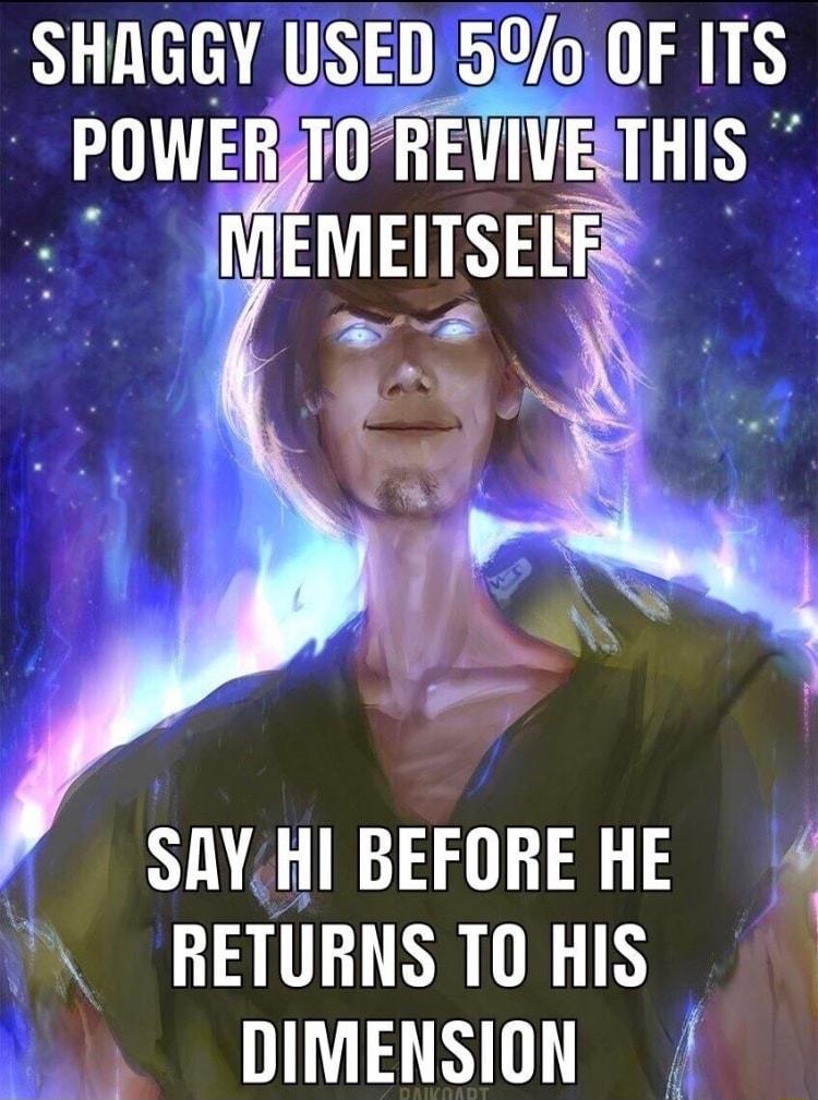 SHAGGY USED 50 OF ITS PUWE HEIWETHIS MEMEITSELF SAYHI BEFORE HE RETURNS T0 HIS DIMENSION