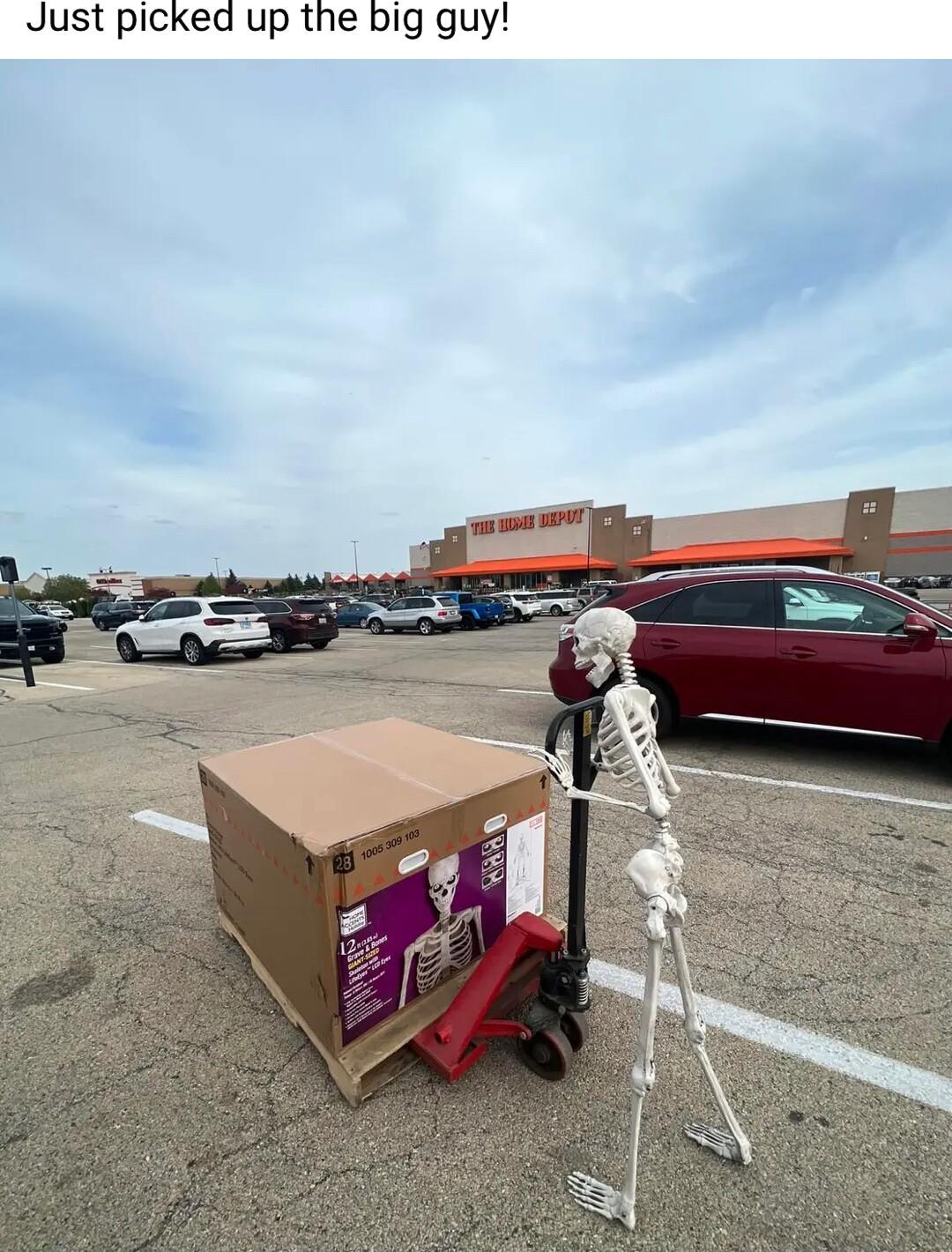 Just picked up the big guy