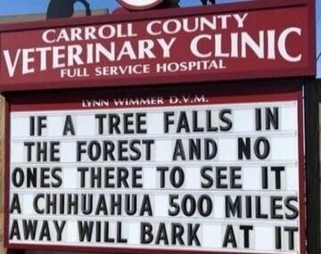 CARROLL COUNTY VETERINARY CLINIC FULL SERVICE HOSPITAL LYNN WIMMER D.V.M. IF A TREE FALLS IN THE FOREST AND NO ONES THERE TO SEE IT A CHIHUAHUA 500 MILES AWAY WILL BARK AT IT