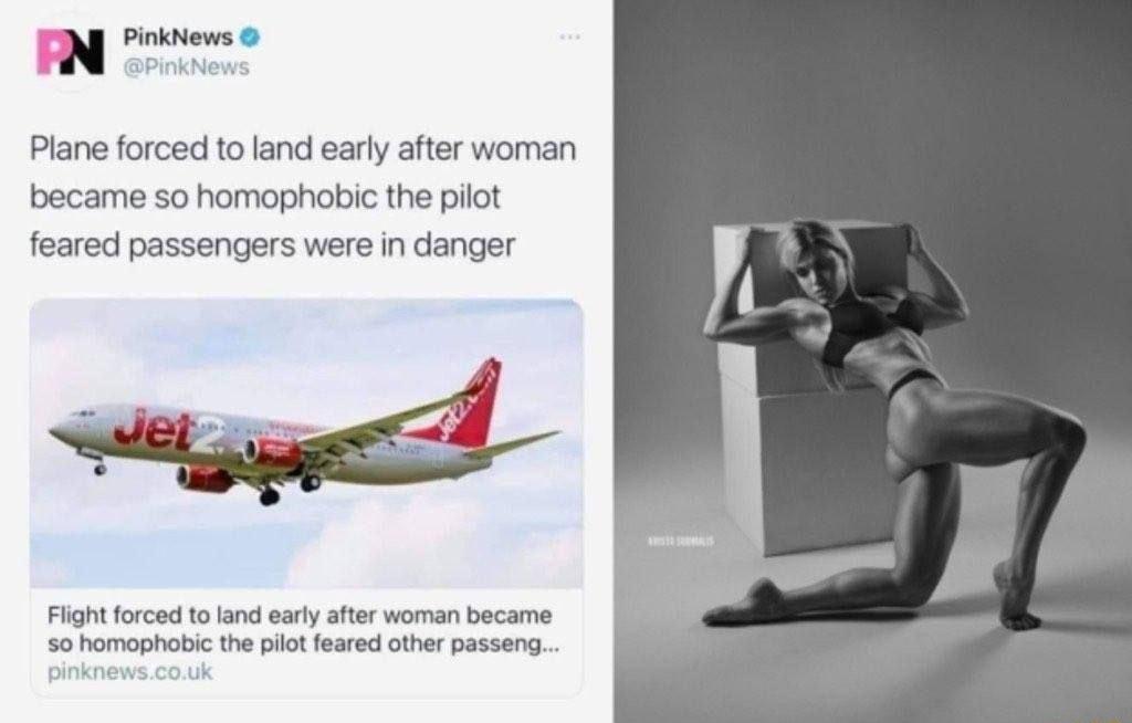 PinkNews DPinkNews Plane forced to land early after woman became so homophobic the pilot feared passengers were in danger Flight forced to land early after woman became so homophobic the pilot feared other passeng pinkne 0uk