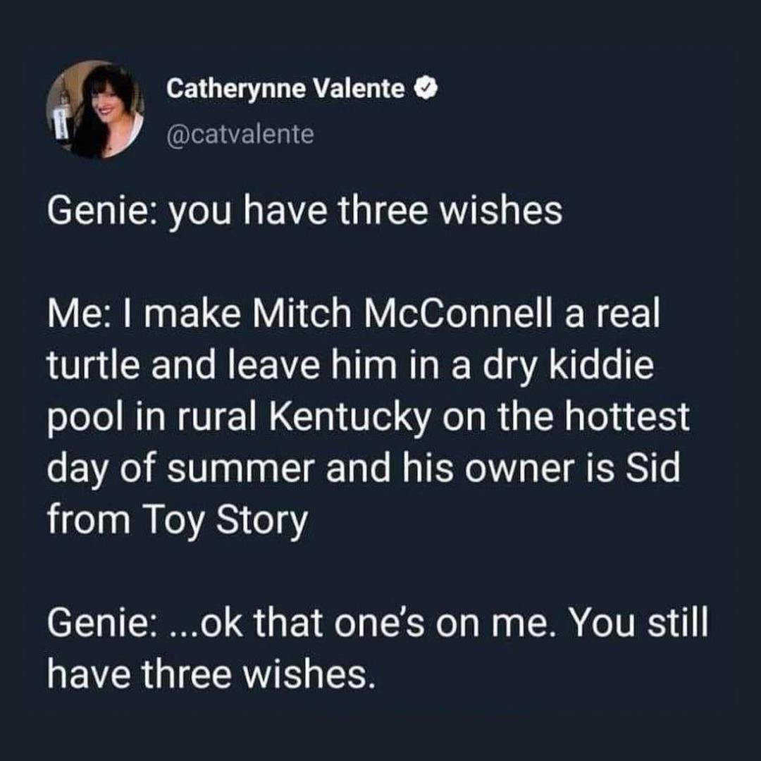 i Catherynne Valente eWEEIE CLNIER VM EVCR I CERVIE Me make Mitch McConnell a real turtle and leave him in a dry kiddie pool in rural Kentucky on the hottest day of summer and his owner is Sid o s M EeAS o18Y Genie ok that ones on me You still EVER QI CEAVIE R