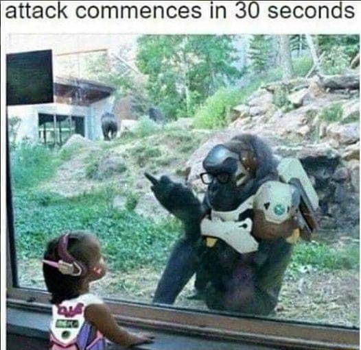 attack commences in 30 seconds o N