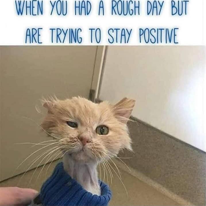 WHEN YOU HAD A ROUGH DAY BUT ARE TRYING TO STAY POSITIVE
