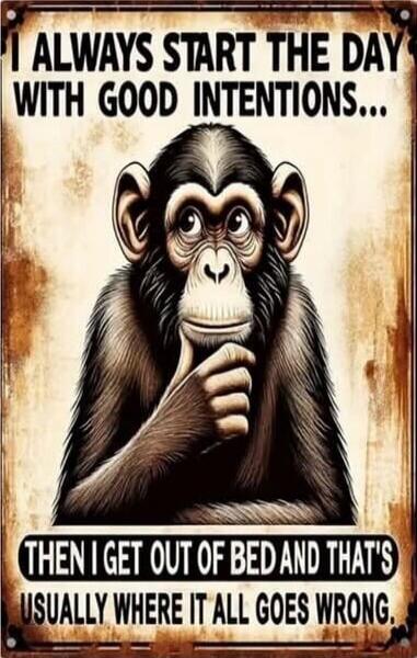 I ALWAYS START THE DAY WITH GOOD INTENTIONS... THEN I GET OUT OF BED AND THAT'S USUALLY WHERE IT ALL GOES WRONG.