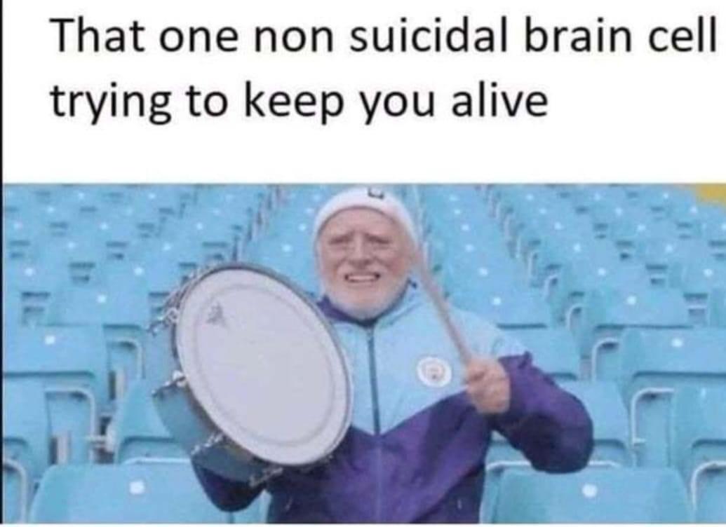 That one non suicidal brain cell trying to keep you alive