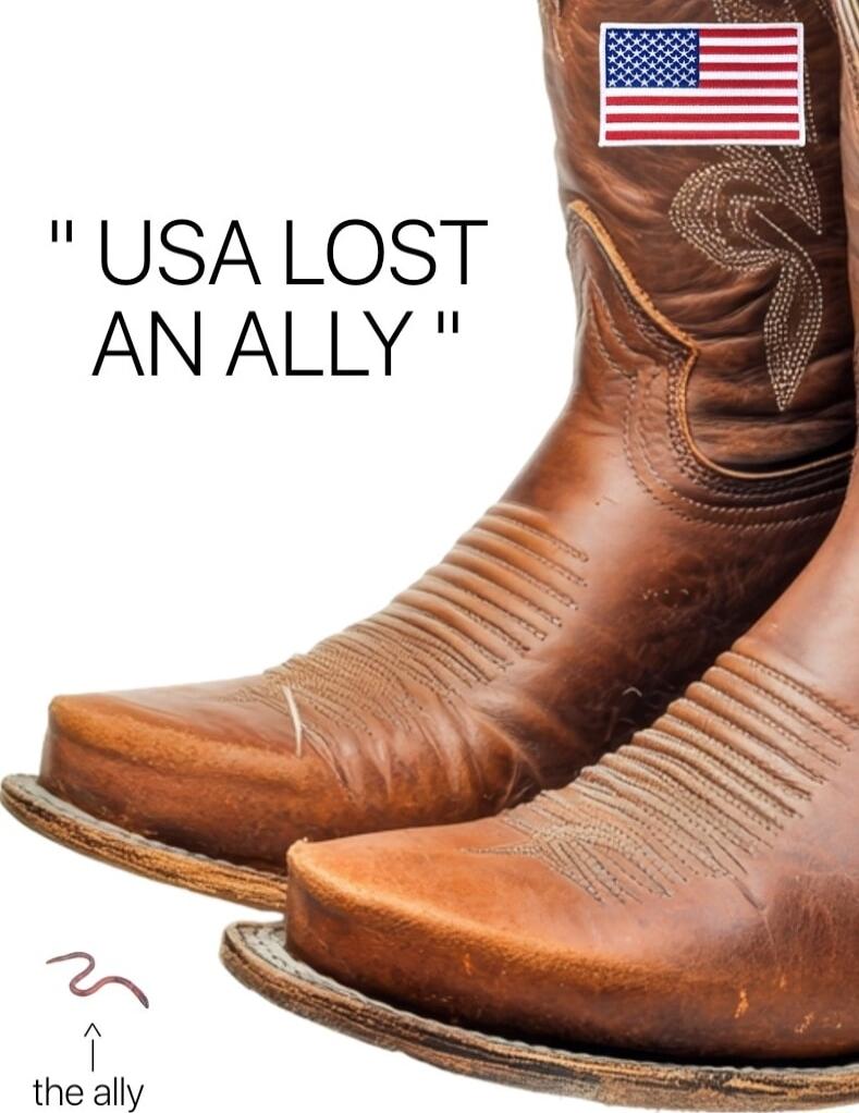USALOST AN ALLY the ally