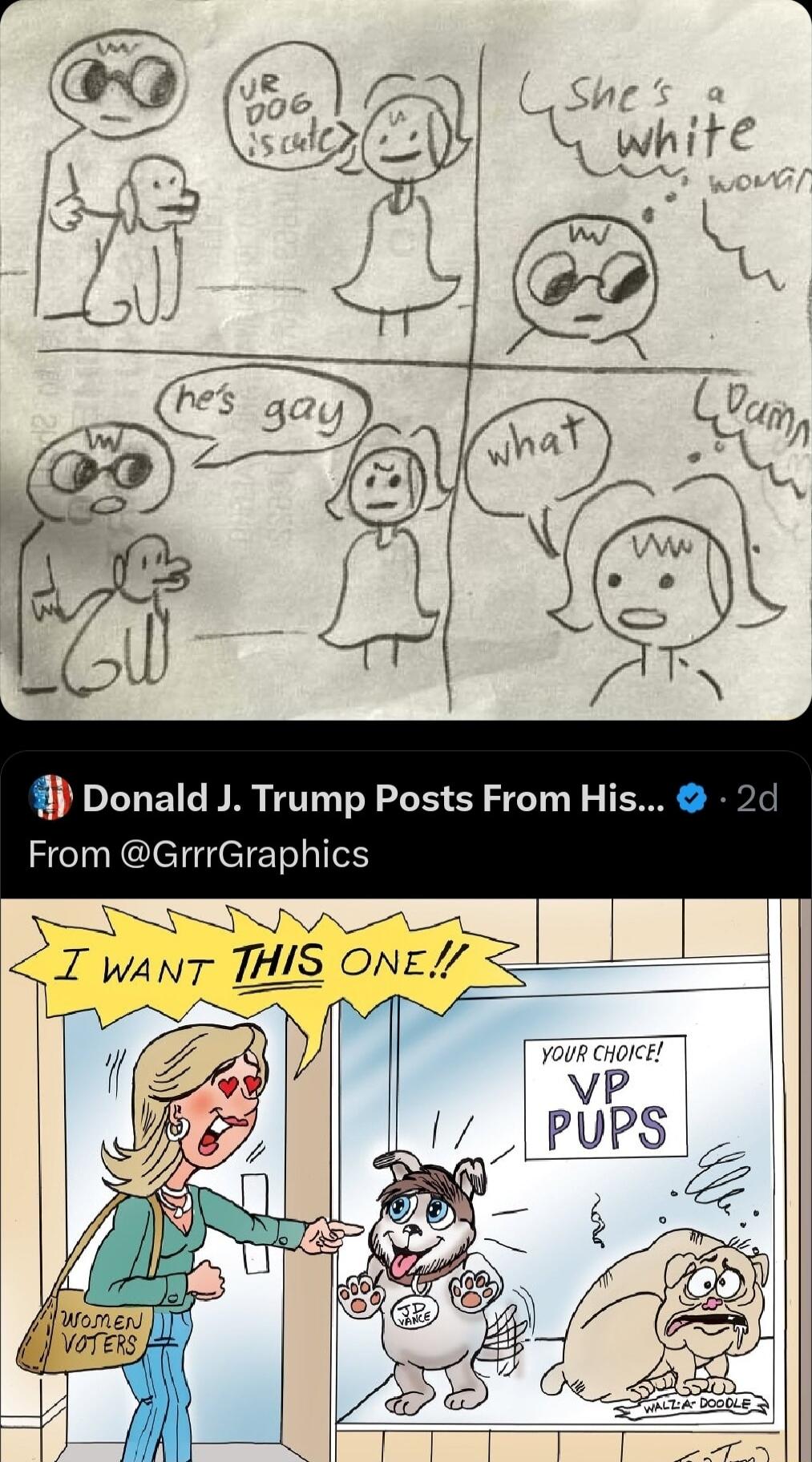 Donald J Trump Posts From His From GrrrGraphics
