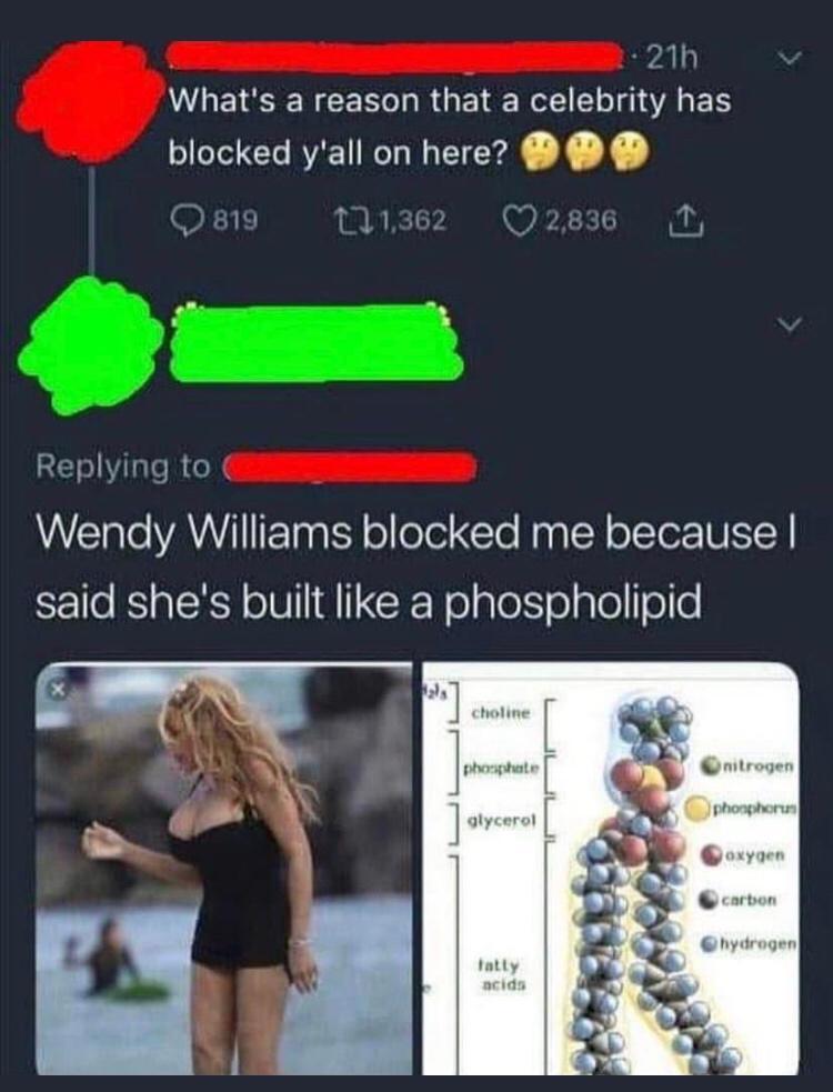 21h Whats a reason that a celebrity has blocked yall on here 9 F1E 111362 2836 1T Replying to WTale YAYIIIIFTaa TR olfolei Yo Nyl ofcTor STY said shes built like a phospholipid